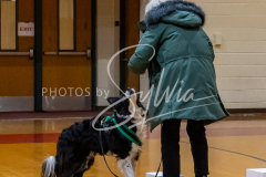 26-3-15-Scent-Work-74