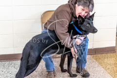 26-3-15-Scent-Work-761