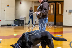 26-3-15-Scent-Work-769