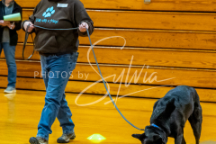 26-3-15-Scent-Work-787