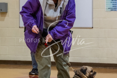 26-3-15-Scent-Work-79