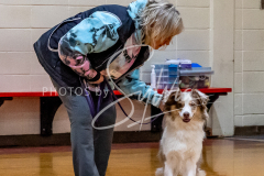 26-3-15-Scent-Work-806