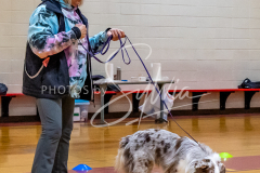 26-3-15-Scent-Work-819