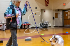 26-3-15-Scent-Work-823