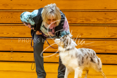 26-3-15-Scent-Work-829