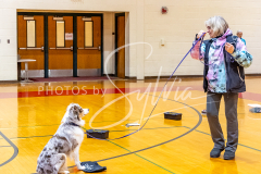 26-3-15-Scent-Work-838