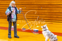 26-3-15-Scent-Work-853