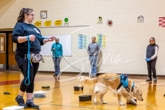 26-3-15-Scent-Work-858