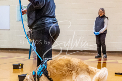 26-3-15-Scent-Work-859