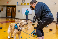 26-3-15-Scent-Work-871