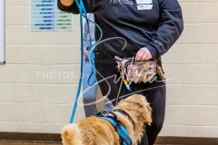 26-3-15-Scent-Work-875