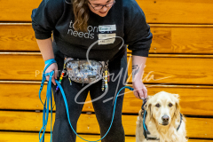 26-3-15-Scent-Work-880