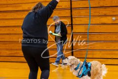 26-3-15-Scent-Work-906