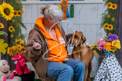 26-3-15-Scent-Work-962