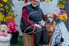 26-3-15-Scent-Work-988