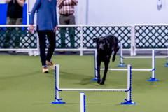 1-29-23-Kathy-Wagner-Seminar-1003