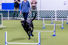 1-29-23-Kathy-Wagner-Seminar-1004