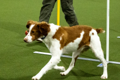 1-29-23-Kathy-Wagner-Seminar-1035