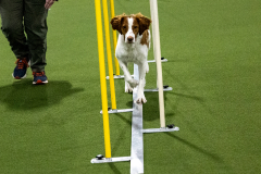 1-29-23-Kathy-Wagner-Seminar-1043