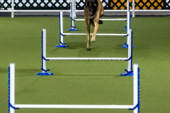 1-29-23-Kathy-Wagner-Seminar-1058