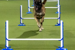 1-29-23-Kathy-Wagner-Seminar-1059