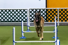 1-29-23-Kathy-Wagner-Seminar-1062