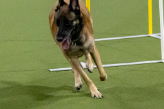 1-29-23-Kathy-Wagner-Seminar-1068