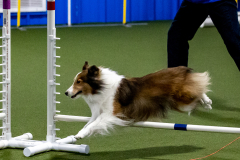 1-29-23-Kathy-Wagner-Seminar-170