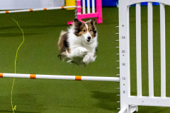 1-29-23-Kathy-Wagner-Seminar-174