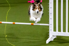 1-29-23-Kathy-Wagner-Seminar-175