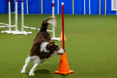 1-29-23-Kathy-Wagner-Seminar-179