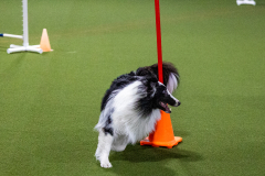 1-29-23-Kathy-Wagner-Seminar-208