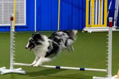 1-29-23-Kathy-Wagner-Seminar-241