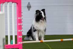 1-29-23-Kathy-Wagner-Seminar-245