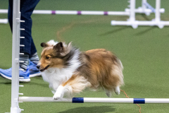 1-29-23-Kathy-Wagner-Seminar-273