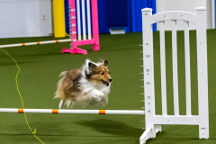 1-29-23-Kathy-Wagner-Seminar-297