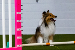 1-29-23-Kathy-Wagner-Seminar-298