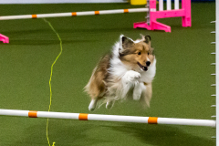 1-29-23-Kathy-Wagner-Seminar-300