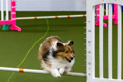 1-29-23-Kathy-Wagner-Seminar-304