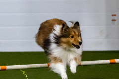 1-29-23-Kathy-Wagner-Seminar-308