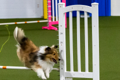 1-29-23-Kathy-Wagner-Seminar-309