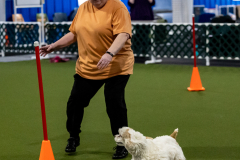 1-29-23-Kathy-Wagner-Seminar-320