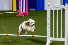 1-29-23-Kathy-Wagner-Seminar-351