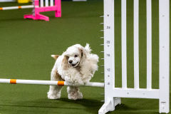 1-29-23-Kathy-Wagner-Seminar-352