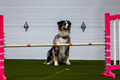 1-29-23-Kathy-Wagner-Seminar-359