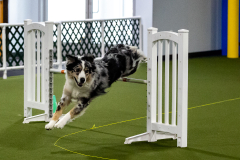 1-29-23-Kathy-Wagner-Seminar-360