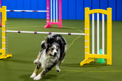 1-29-23-Kathy-Wagner-Seminar-363