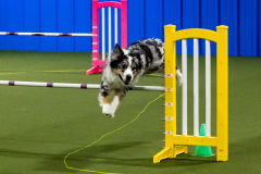 1-29-23-Kathy-Wagner-Seminar-366