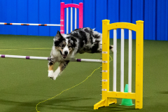 1-29-23-Kathy-Wagner-Seminar-367