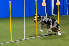 1-29-23-Kathy-Wagner-Seminar-369